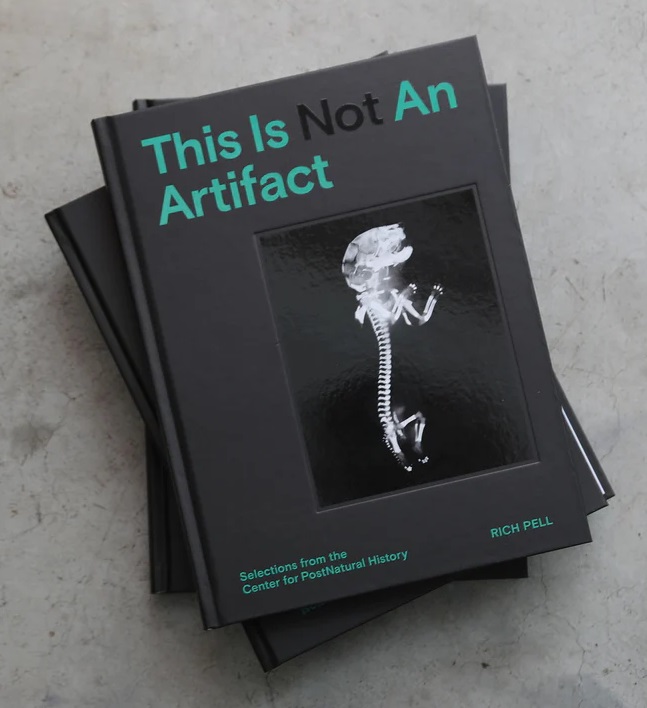 This Is Not An Artifact (Hardcover)