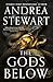 The Gods Below (The Hollow Covenant, #1)