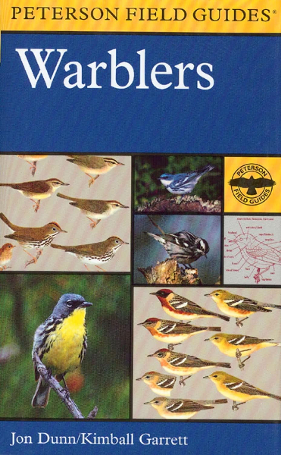 Peterson Field Guide® To Warblers of North America