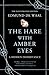 The Hare with Amber Eyes (Illustrated Edition) by Edmund de Waal