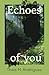 Echoes of you