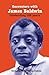 Encounters with James Baldwin by Stella Dadzie