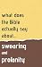 What Does The Bible Actually Say About Swearing And Profanity? by Sara Achthoven What Does The Bible Actually Say About Swearing And Profanity? by Sara Achthoven