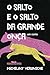 O salto e o salto da grande onça by Micheliny Verunschk