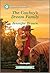 The Cowboy's Dream Family A Clean and Uplifting Romance (A Haw Springs Romance, 1) by Jennifer Brown