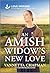 An Amish Widow's New Love: An Uplifting Inspirational Romance – A Small Town Second Chance Story of Faith and Family (Indiana Amish Market, 6)