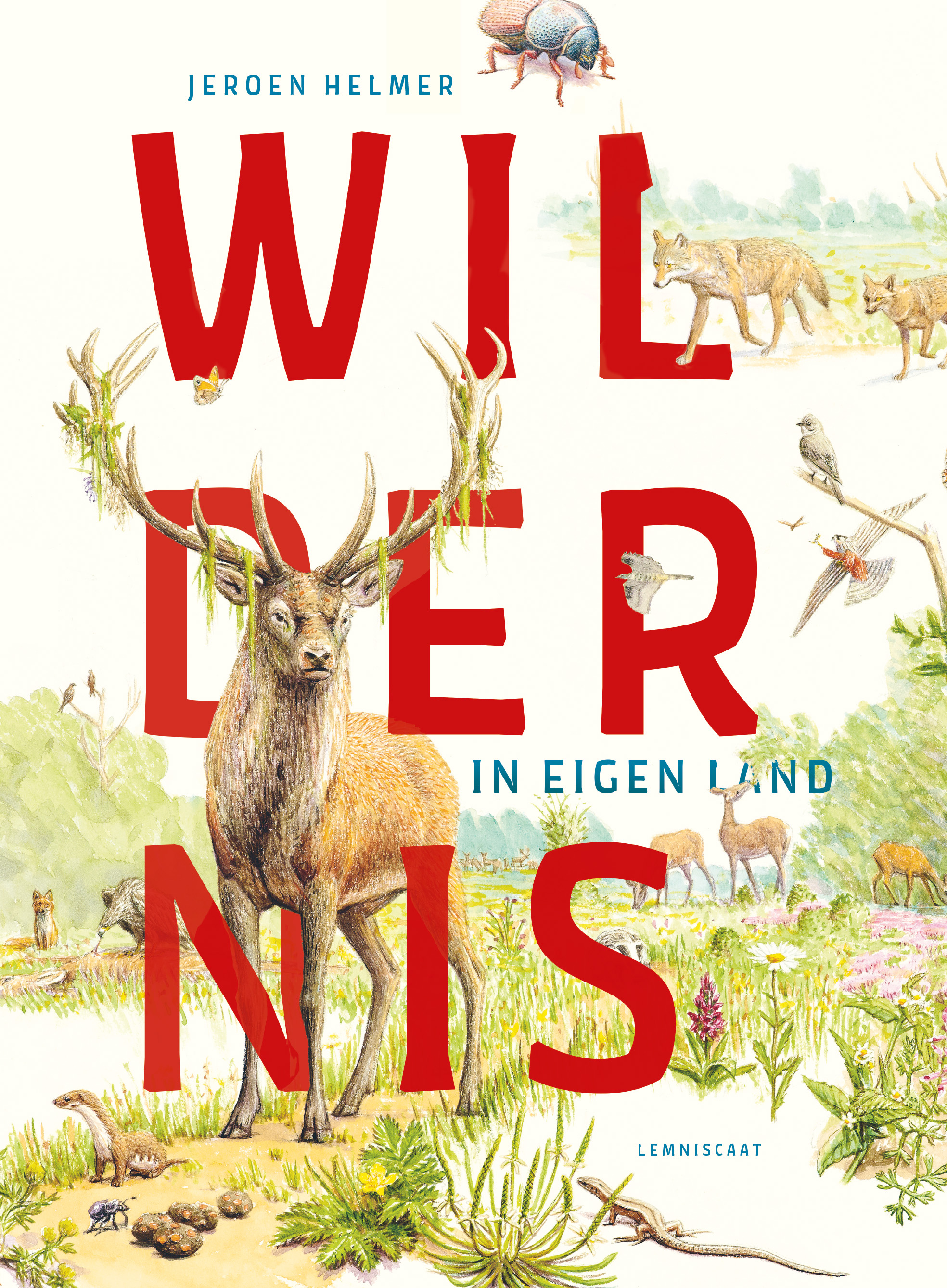 Wildernis in eigen land (Hardcover)