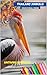Thailand Animals Educationa...