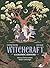 Witchcraft: A Graphic History: Stories of wise women, healers and magic (Graphic MBS)
