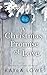 A Christmas Promise of Love