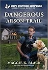 Dangerous Arson Trail (Unsolved Case Files, #3)