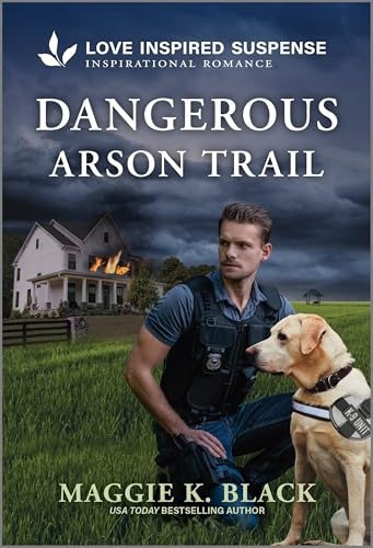 Dangerous Arson Trail (Unsolved Case Files, #3)
