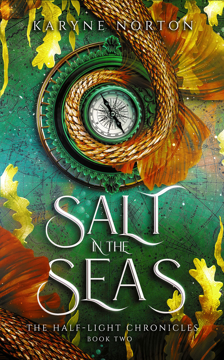 Salt in the Seas (The Half-Light Chronicles, #2)