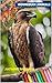 Indonesian Animals Educatio...