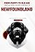 The Complete Newfoundland O...