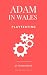 Adam in Wales - Playtesting...