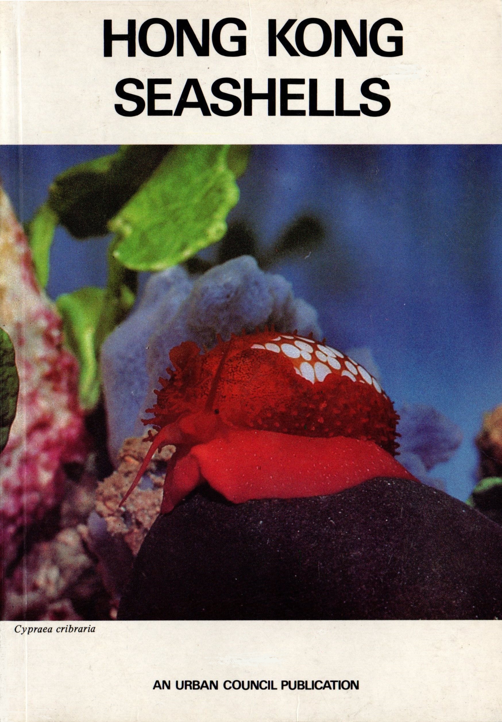 Hong Kong Seashells (Paperback)