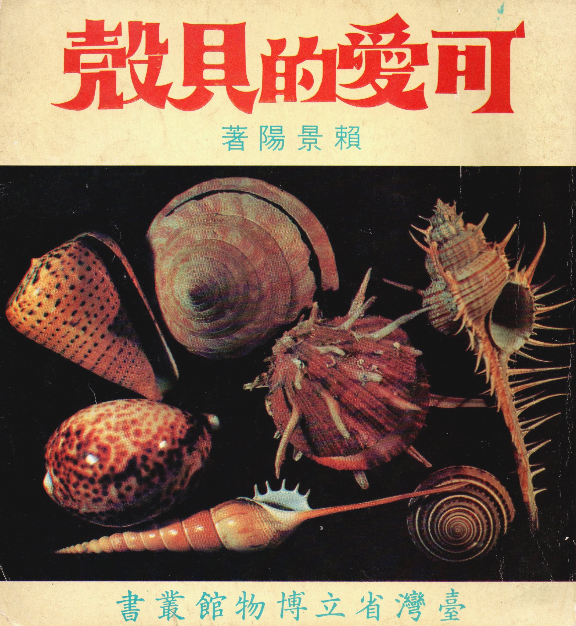 可愛的貝殼 (Paperback)