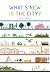 The Cities of the Future by Didier Cornille