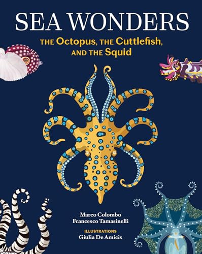 Sea Wonders: The Octopus, the Cuttlefish, and the Squid (Hardcover)