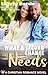 What A Second Chance Needs: A Christian Romance Novel (Faithful Needs Book 5)