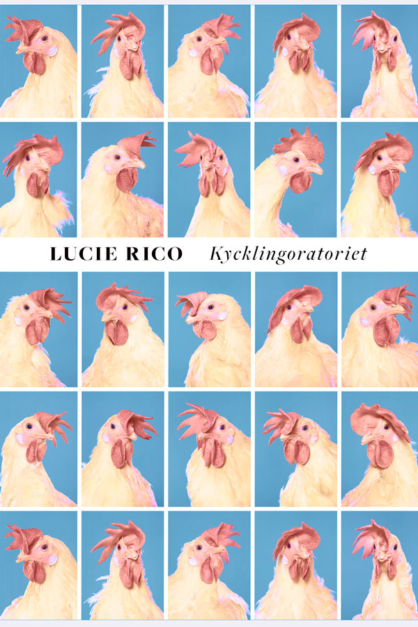 Kycklingoratoriet