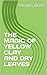 THE MAGIC OF YELLOW CLAY AN...