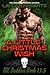 A Little Christmas Wish (MC Daddies)