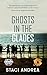 Ghosts in the Glades