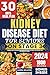 KIDNEY DISEASE DIET FOR SEN...