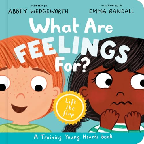What Are Feelings For? Board Book: A Lift-the-Flap Board Book (Board Book)