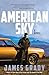 American Sky: A Novel