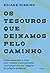 Os tesouros que deixamos pelo caminho: Como aprender a lidar com nossos traumas pode nos lançar em um resgate da própria potência (Portuguese Edition)