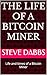 The Life of a Bitcoin Miner...