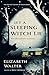 Let a Sleeping Witch Lie: Welsh Gothic Stories by Elizabeth Walter