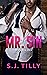 Mr. Sin (Sin, #1)