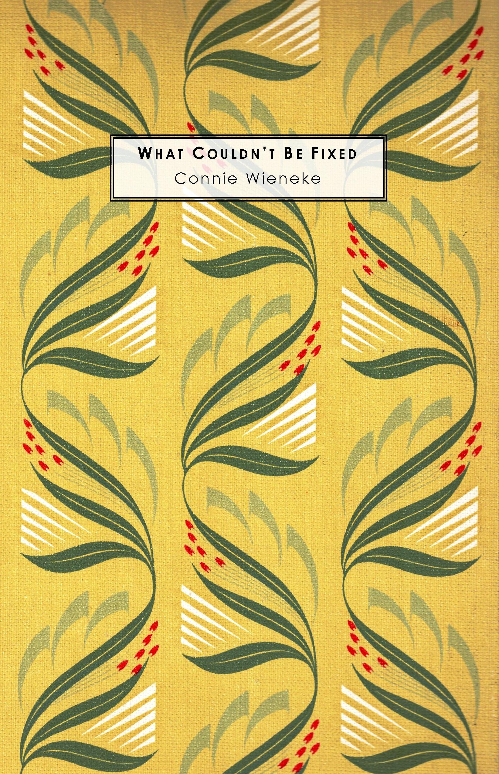What Couldn't Be Fixed (Paperback)