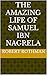The Life and Times of Samuel Ibn Nagrela HaNagid by Robert Rothman