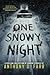 One Snowy Night: A Short St...