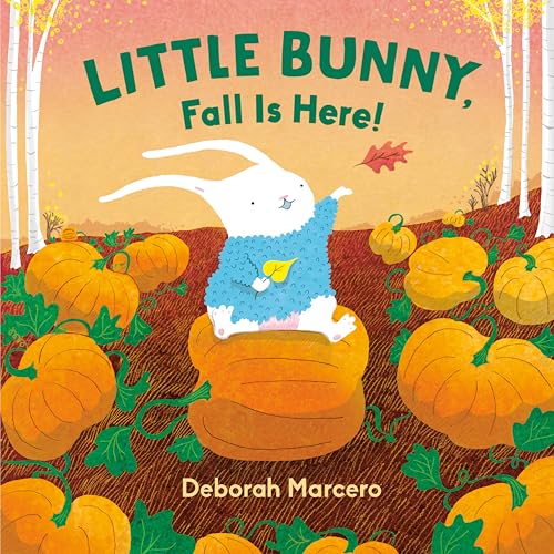 Little Bunny, Fall Is Here! (Board Book)