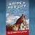 The Ride of Her Life: The True Story of a Woman, Her Horse, and Their Last-Chance Journey Across America