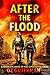After the Flood: A Futuristic Novel of Post-apocalyptic Israel