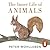 The Inner Life of Animals: Surprising Observations of a Hidden World