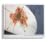 CHEF, a slow-cooked visual portrait of surfing by Amber Van Acker