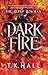 David Fickling Books The Blind Bowman Dark Fire.