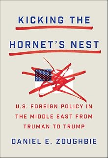 Kicking the Hornet's Nest by Daniel E. Zoughbie