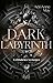 Dark Labyrinth – Gefährliches Verlangen (Labyrinth-Dilogie 1) (German Edition)