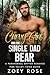 Curvy Girl and the Single Dad Bear (Pine Valley Fated Mates #2) by Zoey Rose