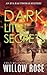 DARK LITTLE SECRETS (Eva Rae Thomas FBI Mystery)