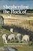Shepherding the Flock of God by Joshua Pfeiffer